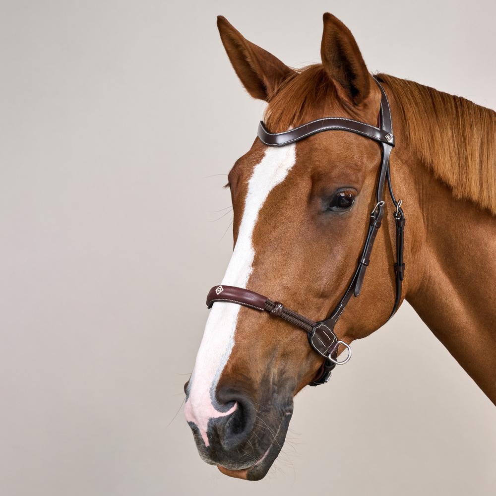 Bitless Bridle WO | Dy'on | bitlesscomfort — Image 7