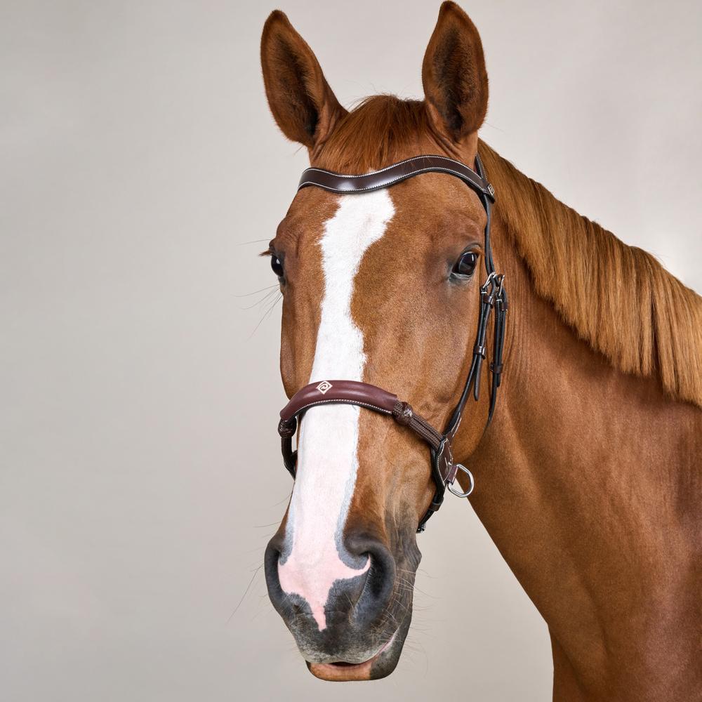 Bitless Bridle WO | Dy'on | bitlesscomfort — Image 8