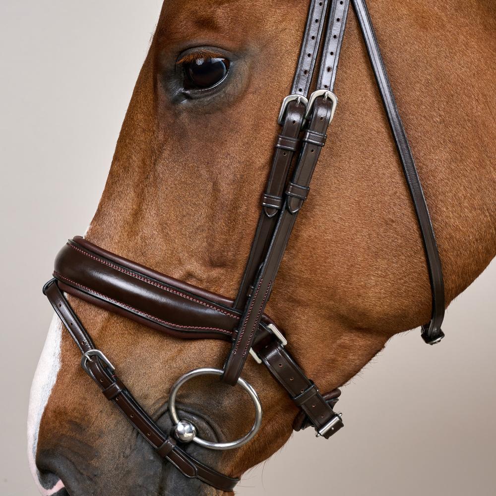 Matte Large Crank Noseband Bridle With Flash WO | Dy'on | Comfort — Image 9