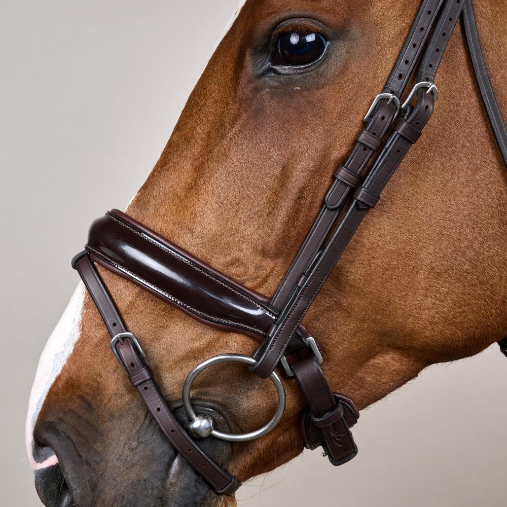 Patent Large Crank Noseband Bridle With Flash WO | Dy'on | Comfort — Image 4