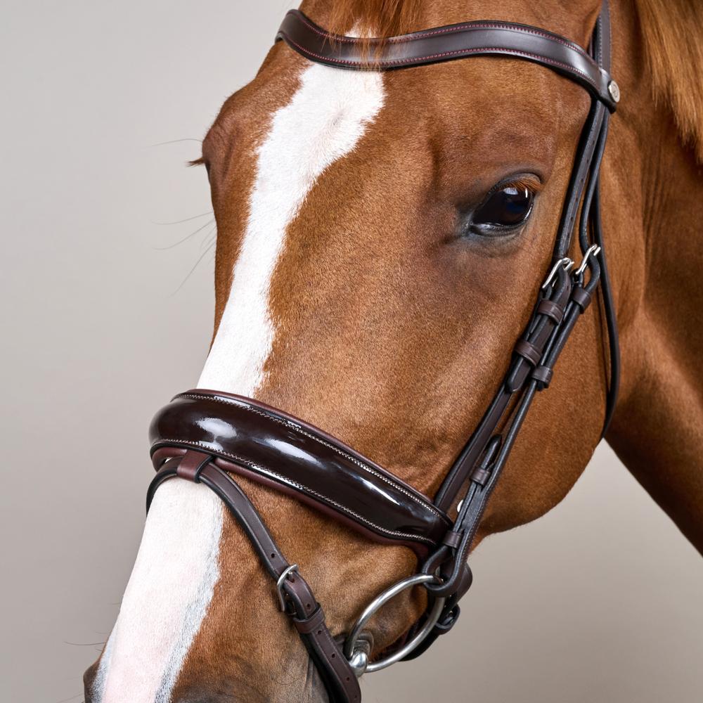 Patent Large Crank Noseband Bridle With Flash WO | Dy'on | Comfort — Image 5