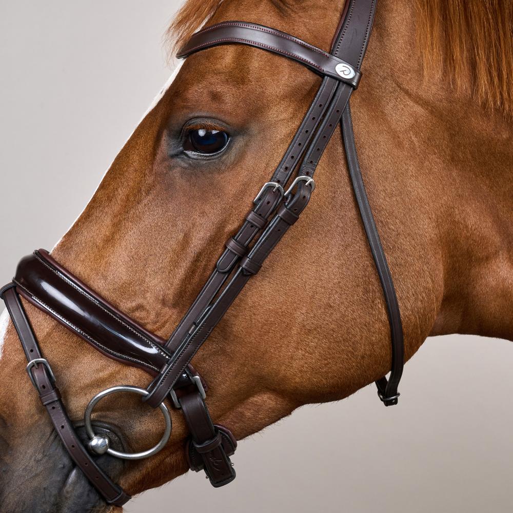 Patent Large Crank Noseband Bridle With Flash WO | Dy'on | Comfort — Image 3