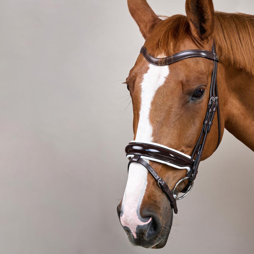 Patent Large Crank Noseband Bridle With White Padding And Flash WO | Dy'on | Control — Image 10
