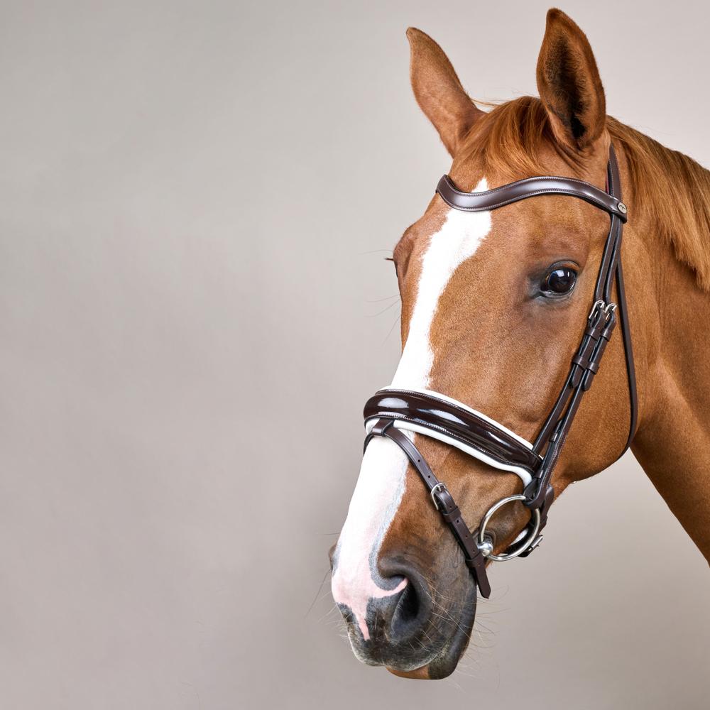 Patent Large Crank Noseband Bridle With White Padding And Flash WO | Dy'on | Control — Image 7