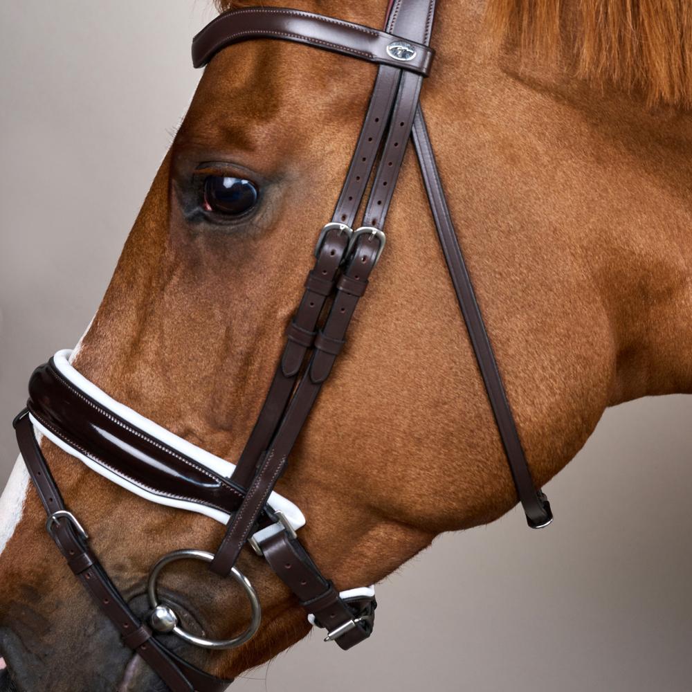 Patent Large Crank Noseband Bridle With White Padding And Flash WO | Dy'on | Control — Image 8