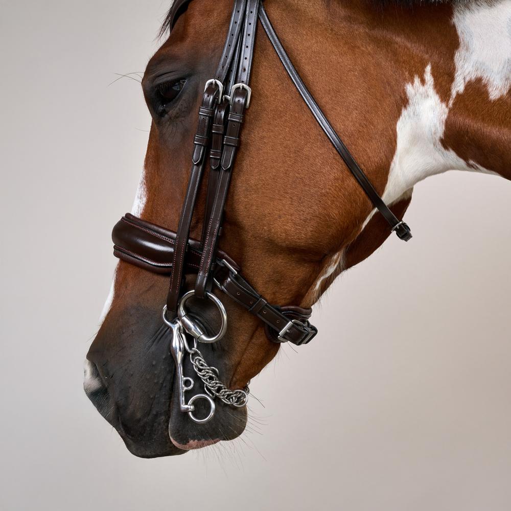 Matte Large Crank Noseband Double Bridle | Dy'on | Comfort — Image 10