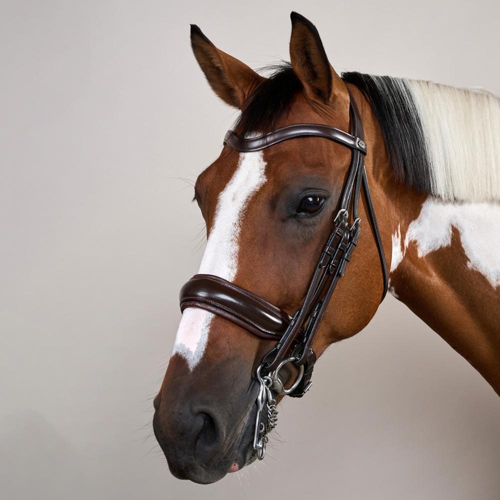 Matte Large Crank Noseband Double Bridle | Dy'on | Comfort — Image 7