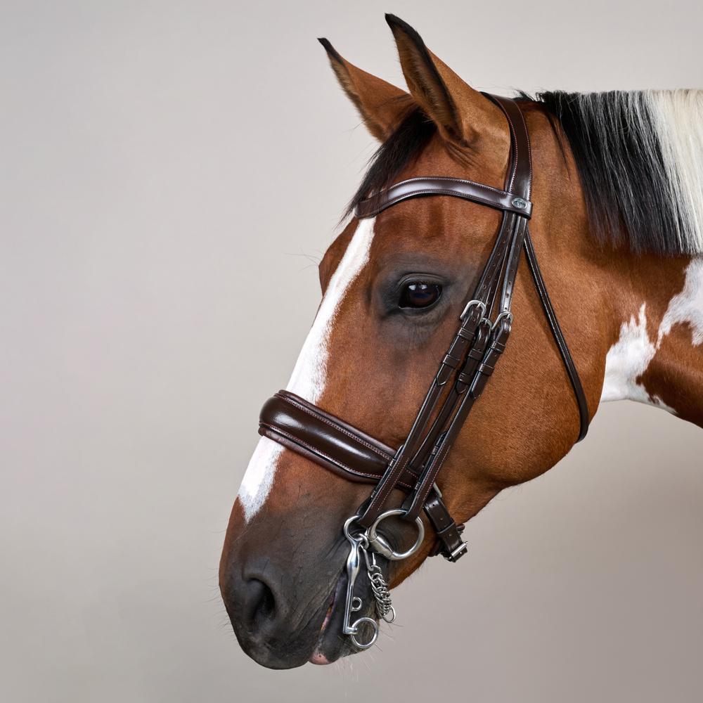 Matte Large Crank Noseband Double Bridle | Dy'on | Comfort — Image 8