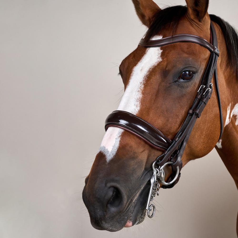 Patent Large Crank Noseband Double Bridle | Dy'on | elegantdesign — Image 10