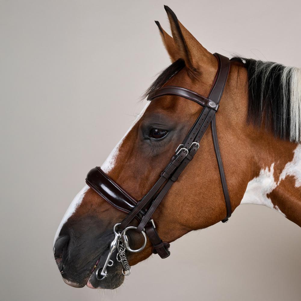 Patent Large Crank Noseband Double Bridle | Dy'on | elegantdesign — Image 8