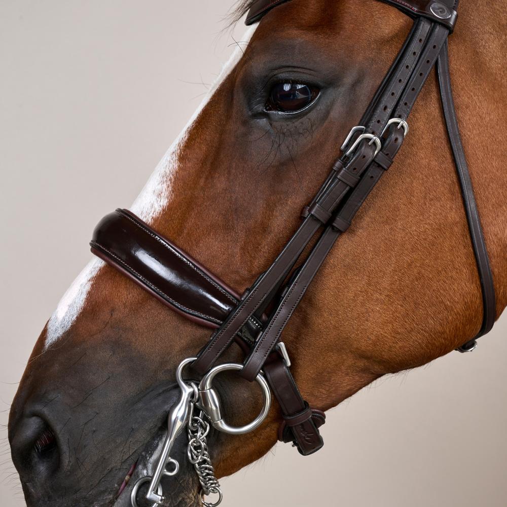 Patent Large Crank Noseband Double Bridle | Dy'on | elegantdesign — Image 9