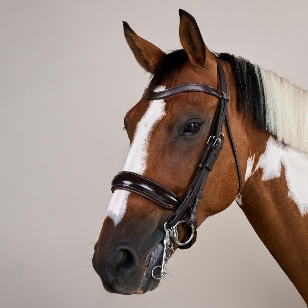 Patent Large Crank Noseband Double Bridle | Dy'on | elegantdesign — Image 7