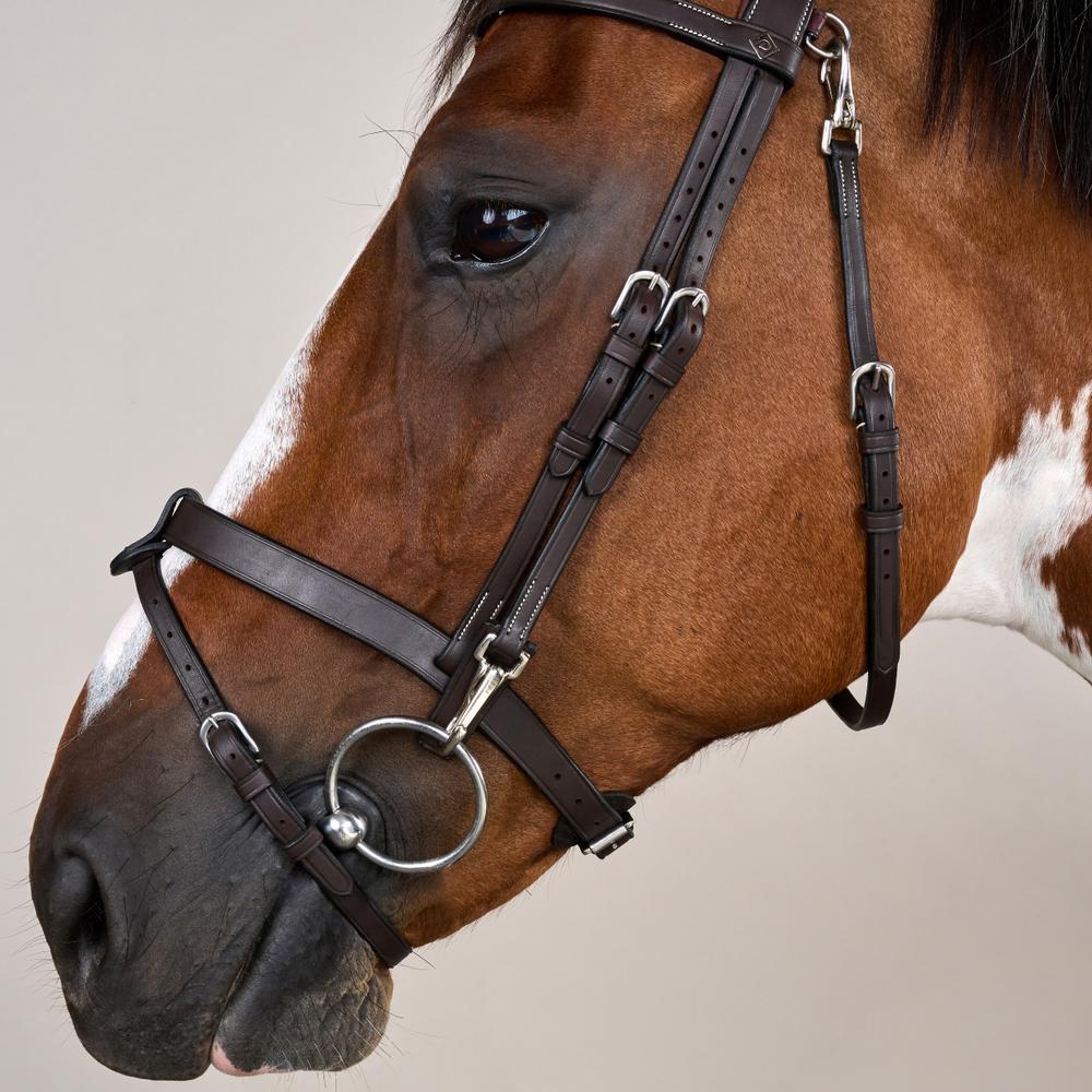 Flat Leather Bridle With Snap Hooks WO | Dy'on | Versatile — Image 3