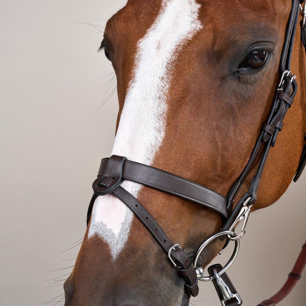 Flat Leather Bridle With Snap Hooks WO | Dy'on | Versatile — Image 4