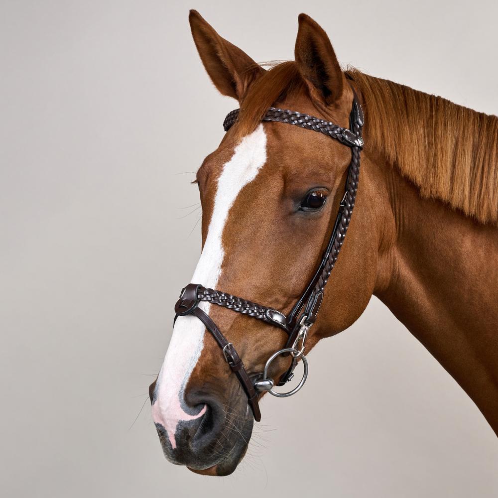 Plaited Training Bridle WO | Dy'on | PremiumLeather — Image 5