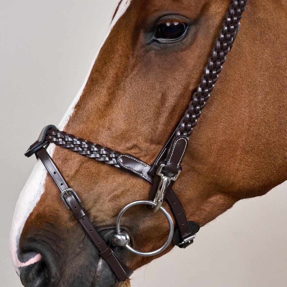 Plaited Training Bridle WO | Dy'on | PremiumLeather — Image 6