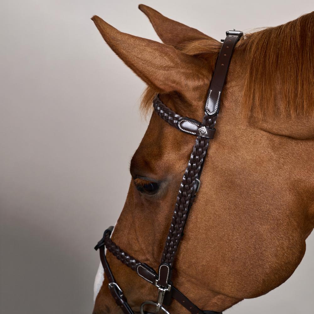 Plaited Training Bridle WO | Dy'on | PremiumLeather — Image 2