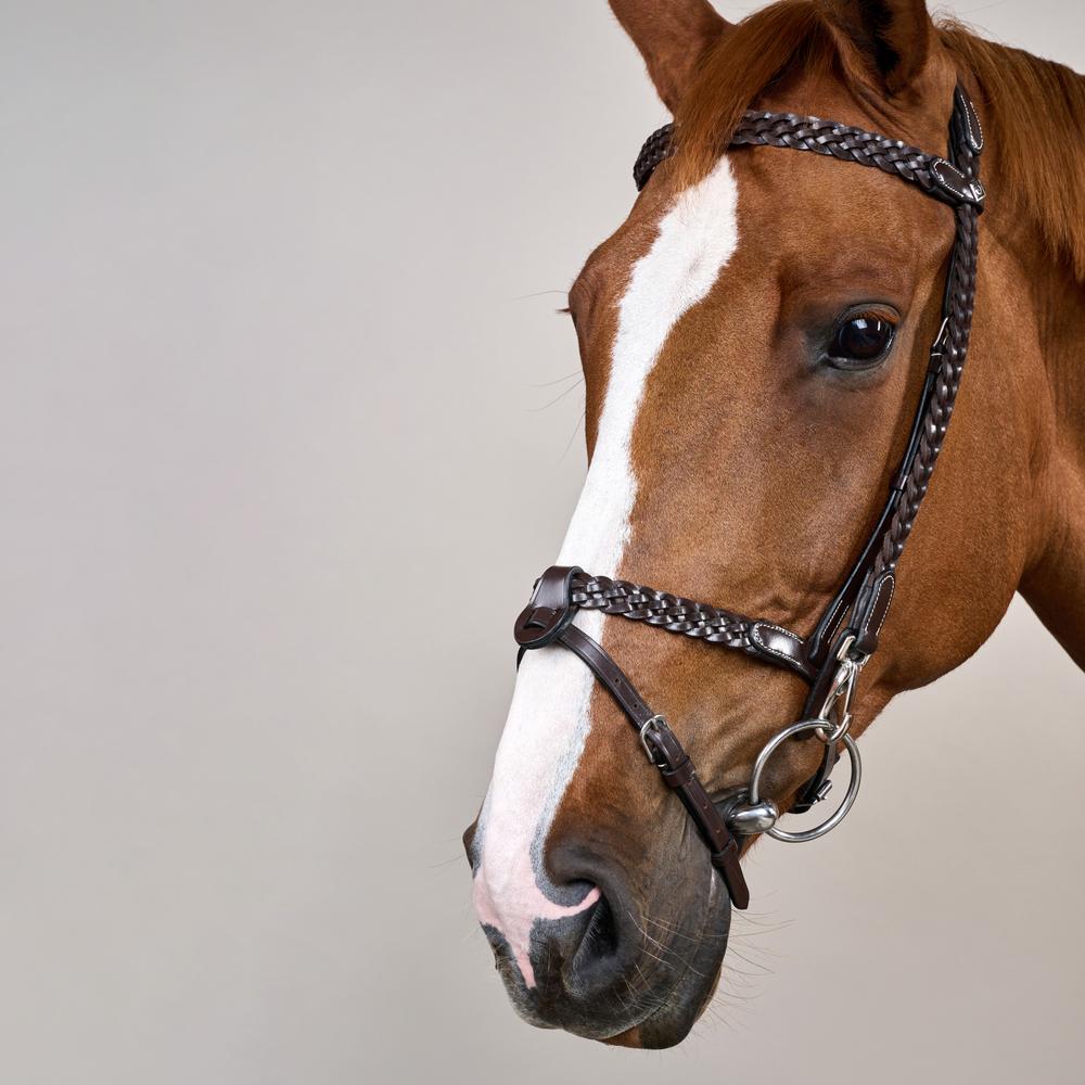 Plaited Training Bridle WO | Dy'on | PremiumLeather — Image 3