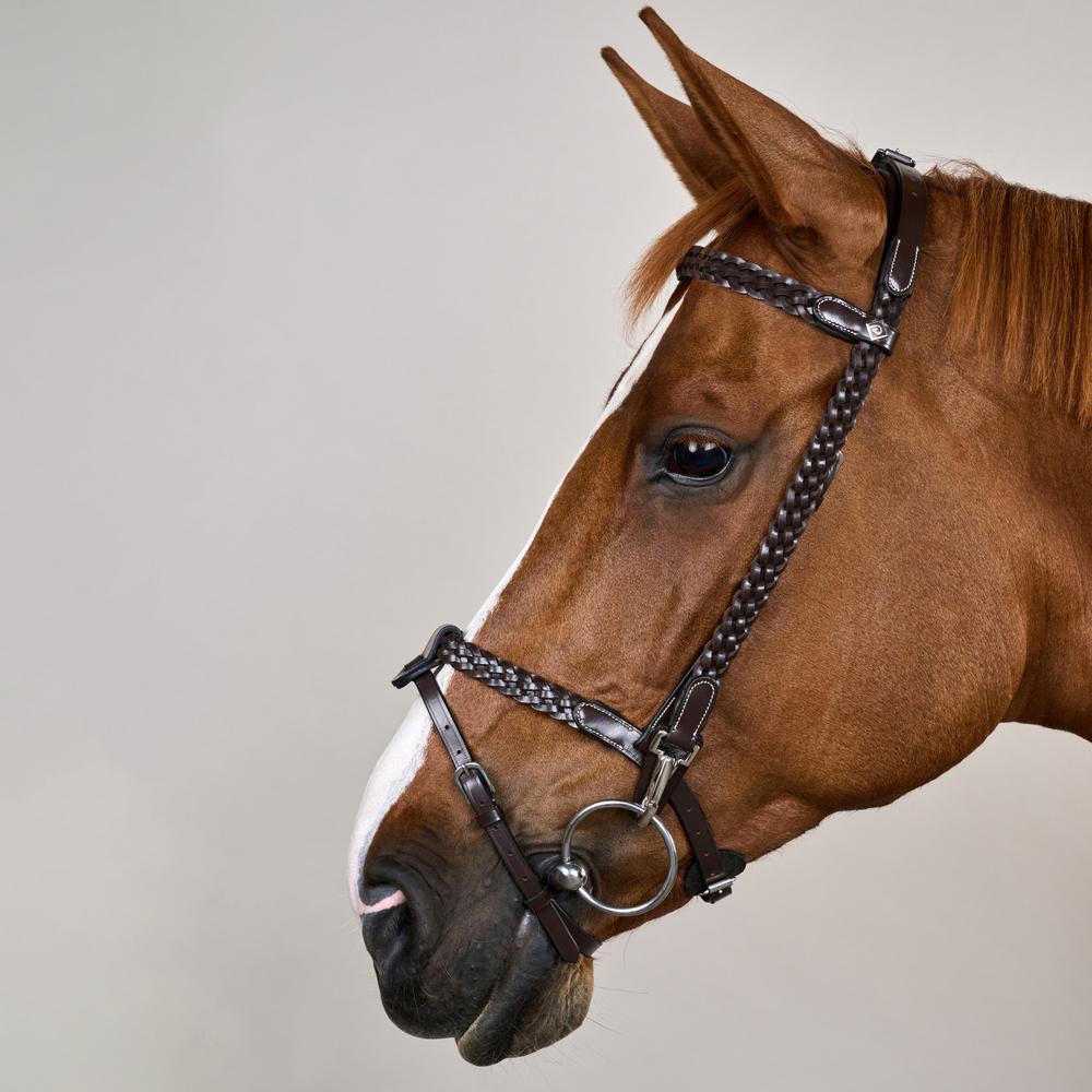 Plaited Training Bridle WO | Dy'on | PremiumLeather — Image 4