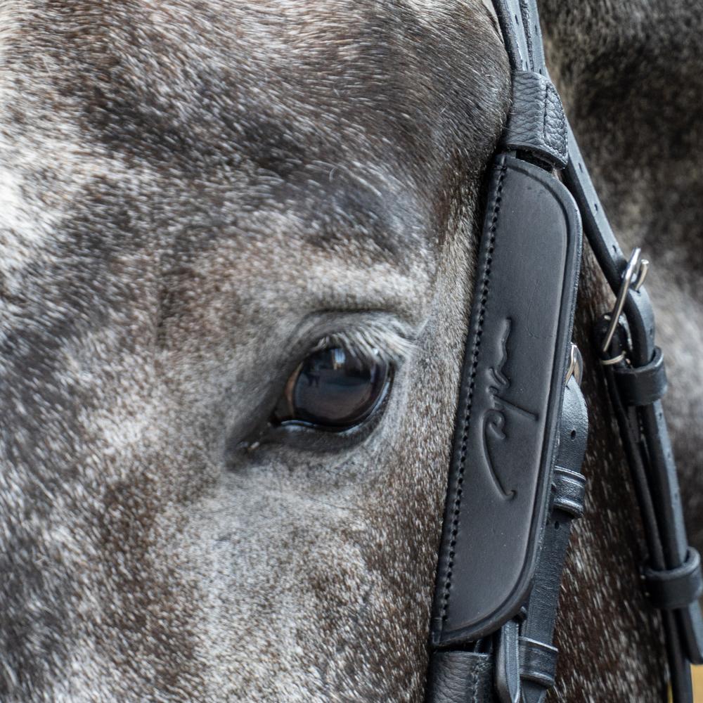 Blinkers | Dy'on | Visibility