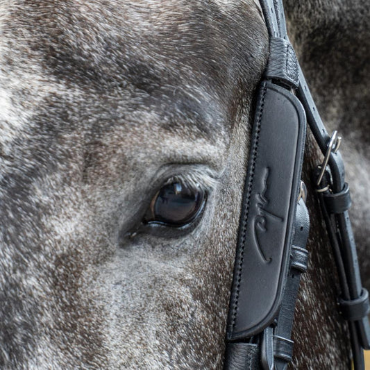 Blinkers | Dy'on | Visibility