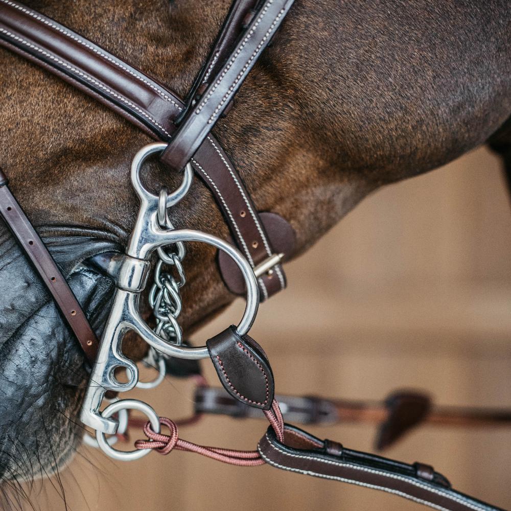 Long Pelham Strap | Dy'on | Durable