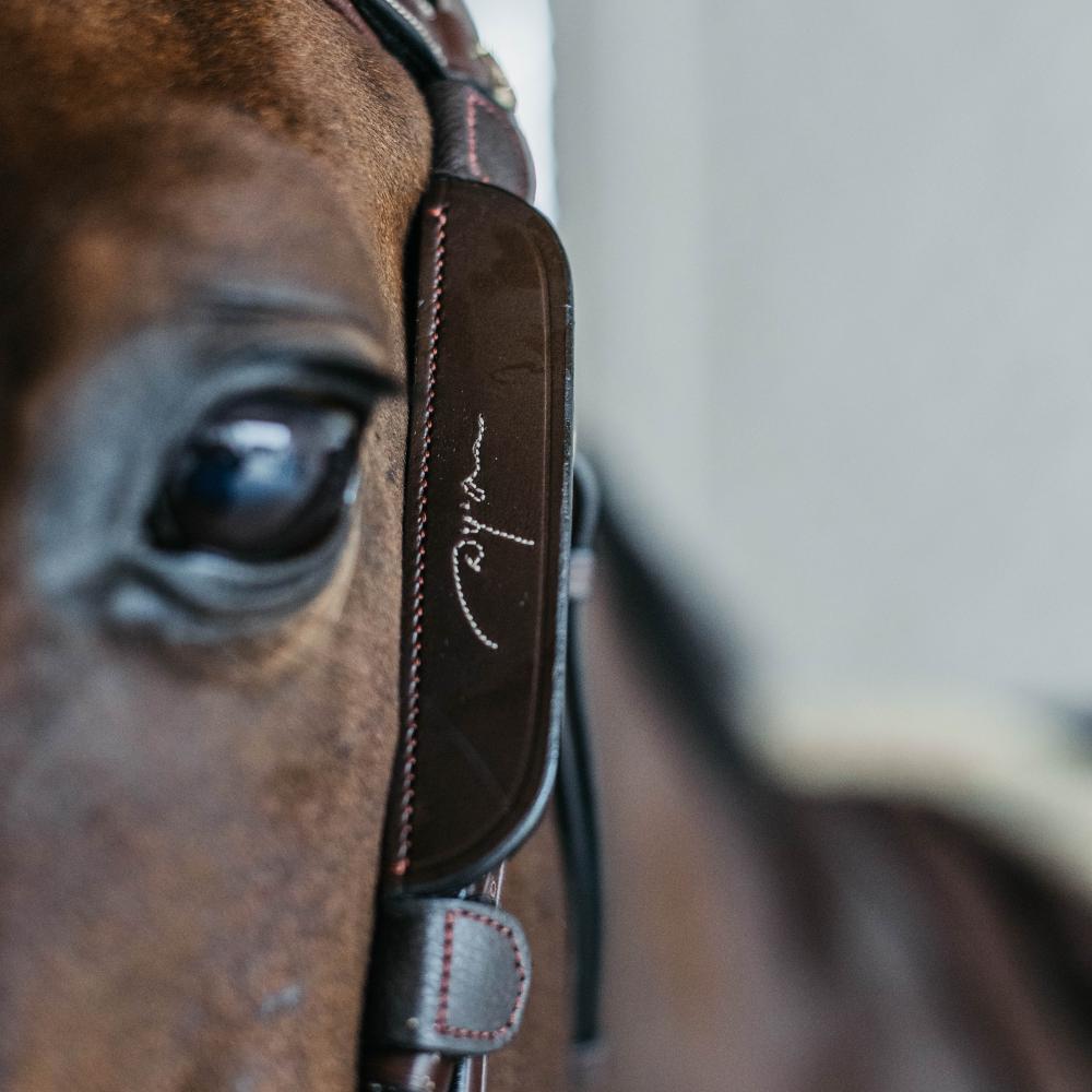 Blinkers with fancy stitching | Dy'on | Durable