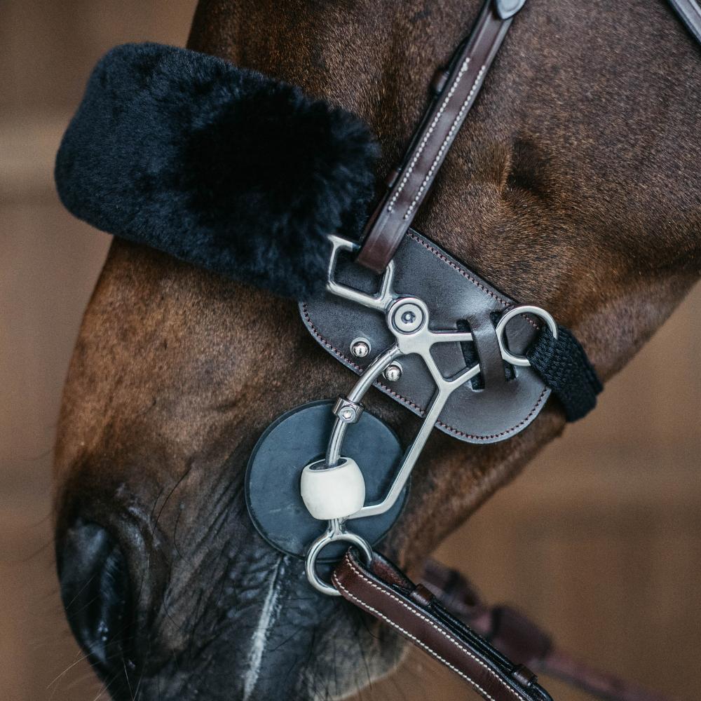 Hackamore protection | Dy'on | Comfort