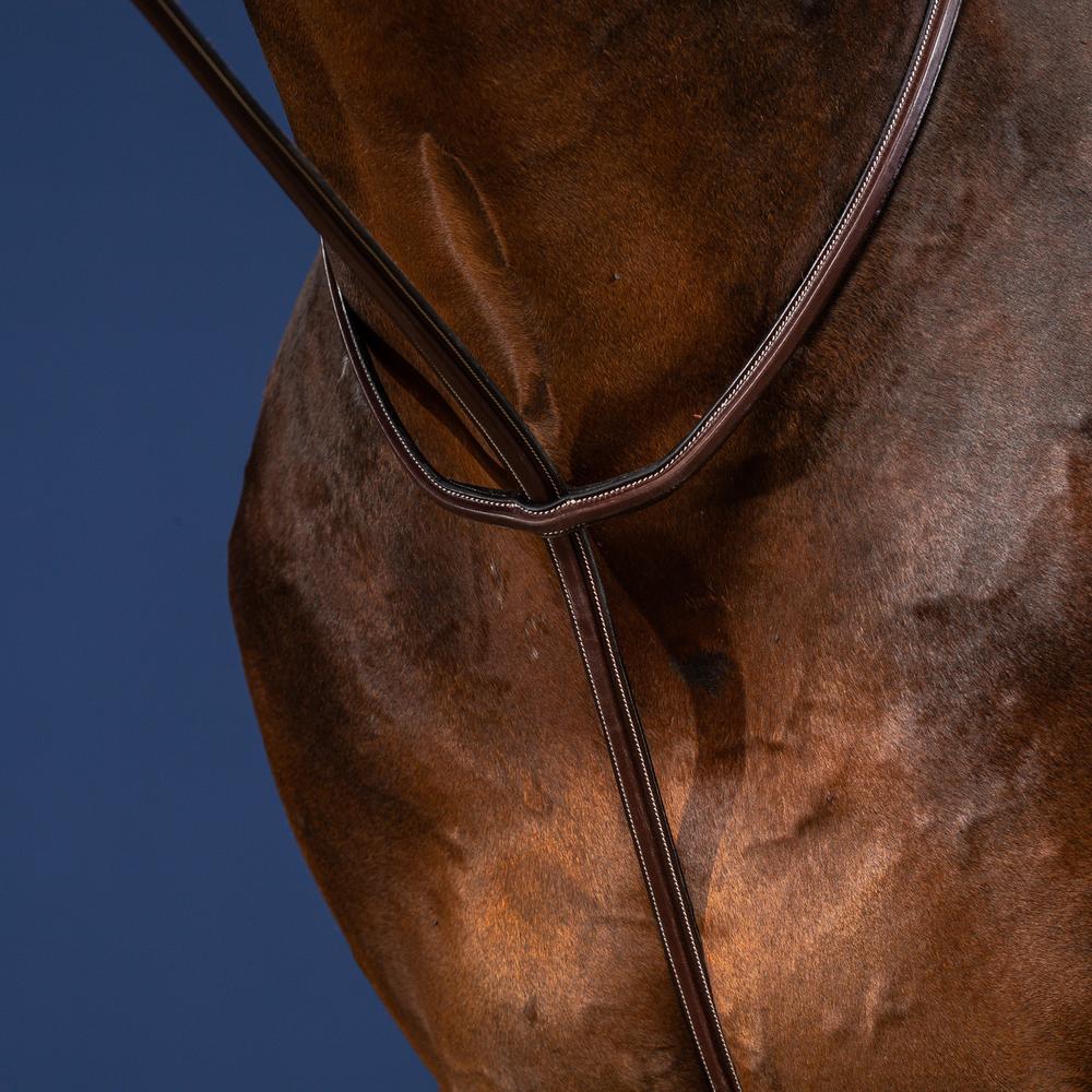 Standing Martingale | Dy'on | elegantdesign