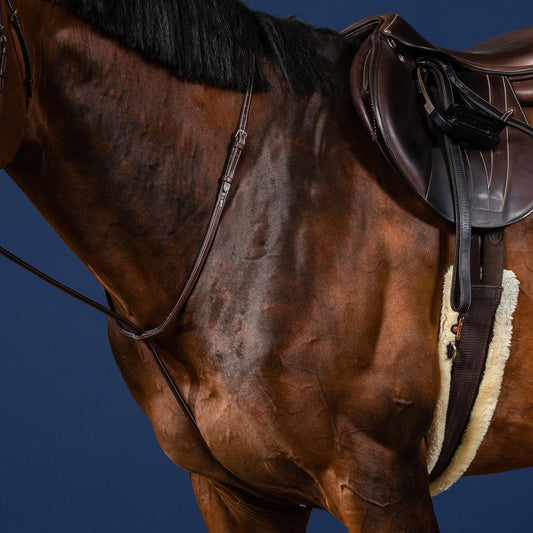 Standing Martingale | Dy'on | elegantdesign — Image 2