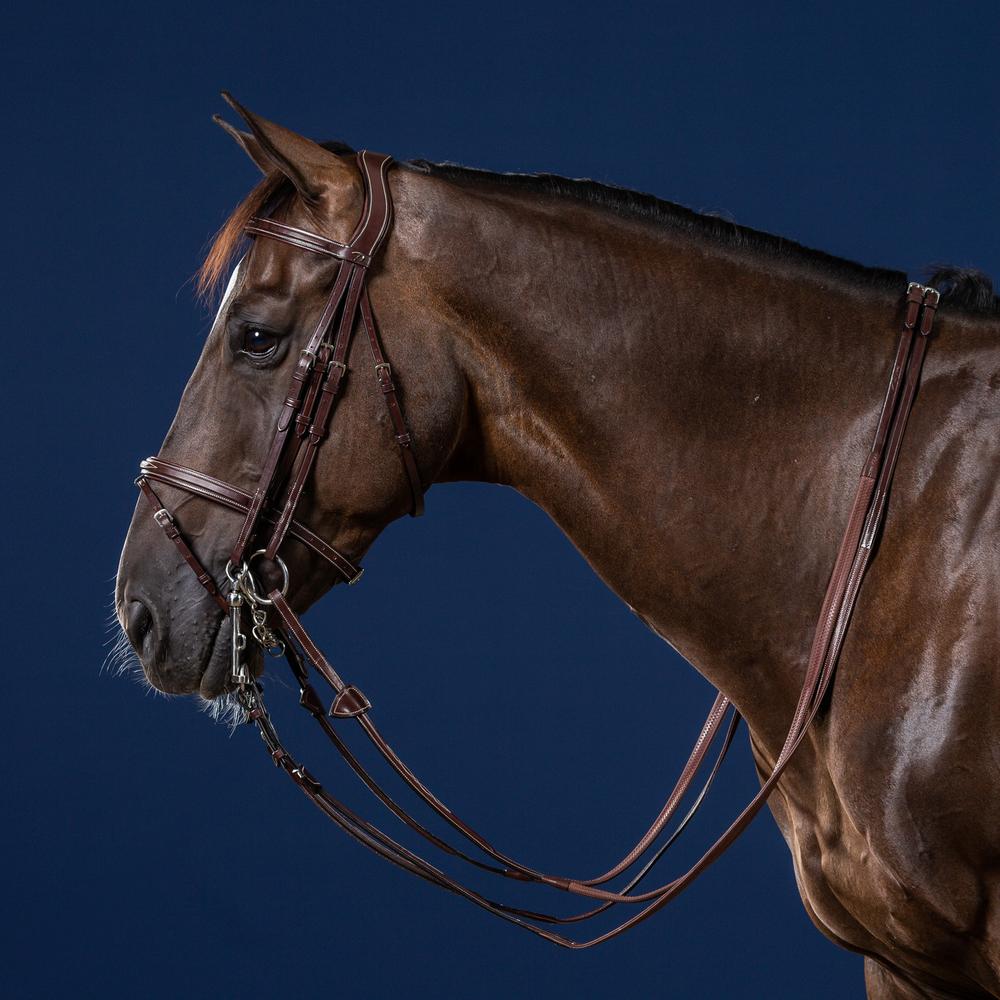 Flash Noseband Double Bridle | Dy'on | elegance — Image 2