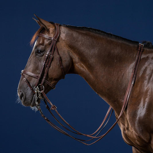 Flash Noseband Double Bridle | Dy'on | elegance — Image 2