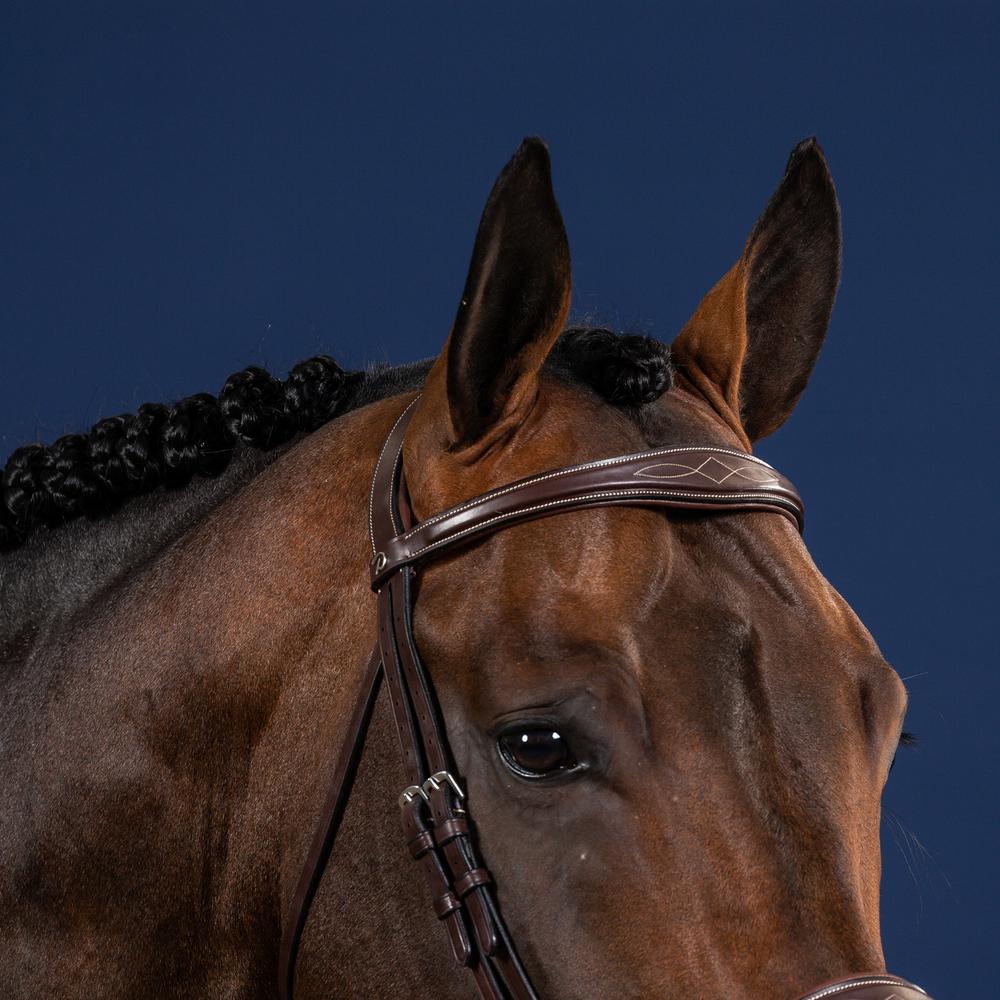 Anatomic Browband | Dy'on | Durable