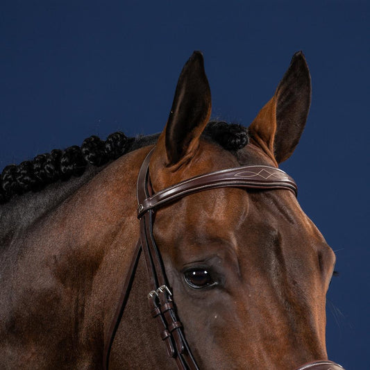 Anatomic Browband | Dy'on | Durable