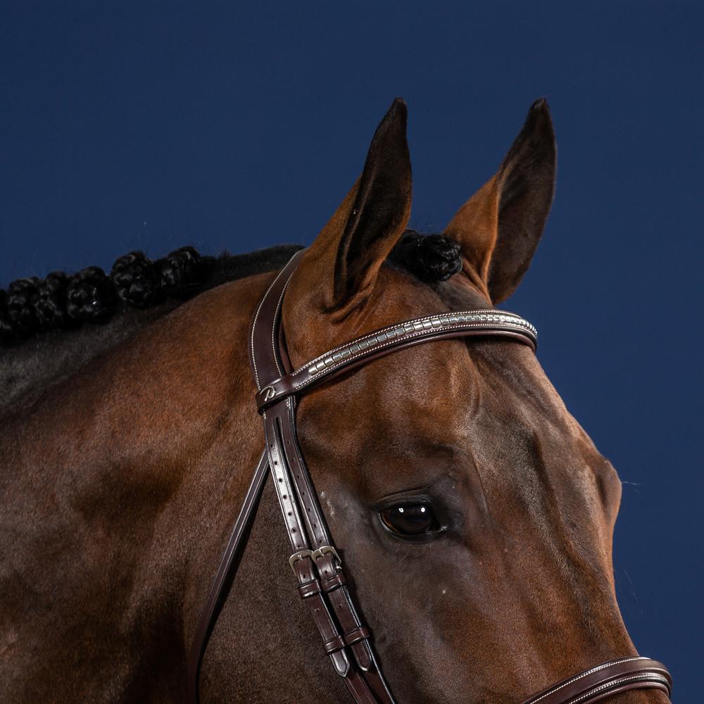 Silver Clincher Straight Browband | Dy'on | elegantdesign — Image 3
