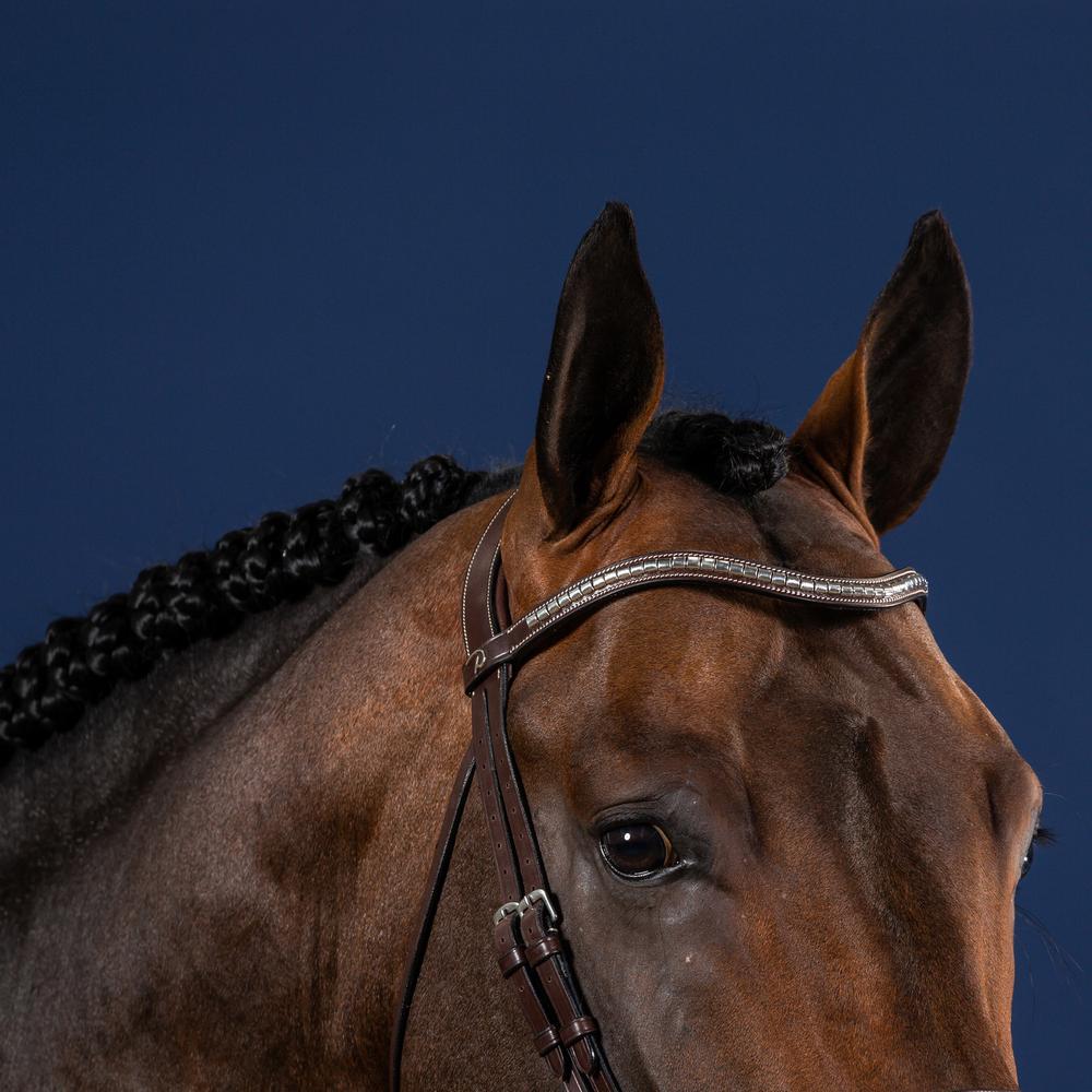 Silver Clincher V-Shaped Browband | Dy'on | elegant