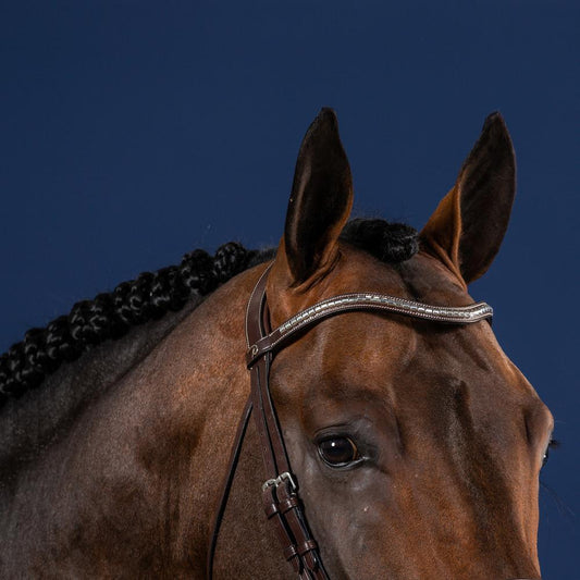 Silver Clincher V-Shaped Browband | Dy'on | elegant