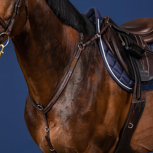 Bridge Breastplate | Dy'on | Adjustable