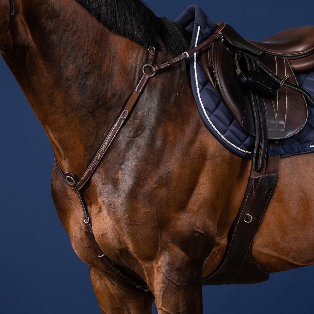 Bridge Breastplate | Dy'on | Adjustable — Image 2