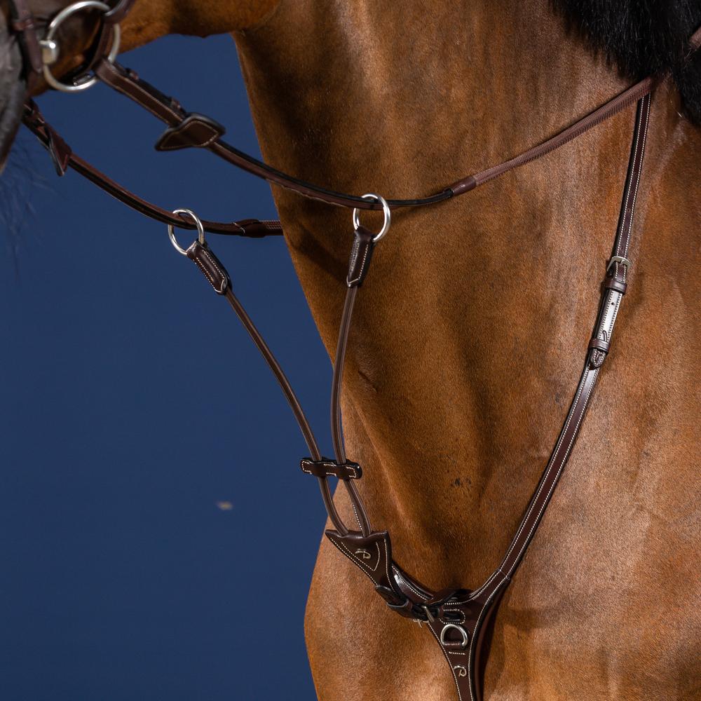 Elastic Running Martingale Attachment | Dy'on | Durable — Image 3
