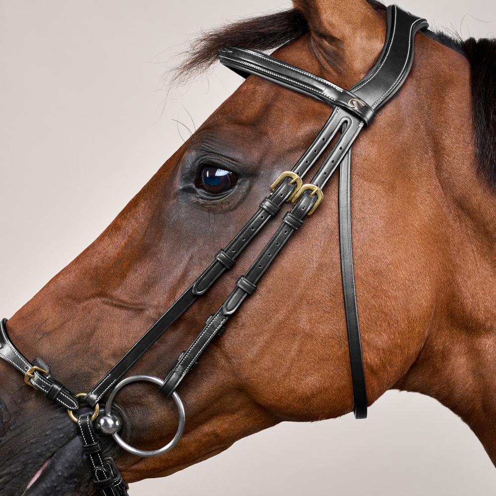 Adjustable Drop Noseband Bridle DY | Dy'on | Adjustable — Image 4