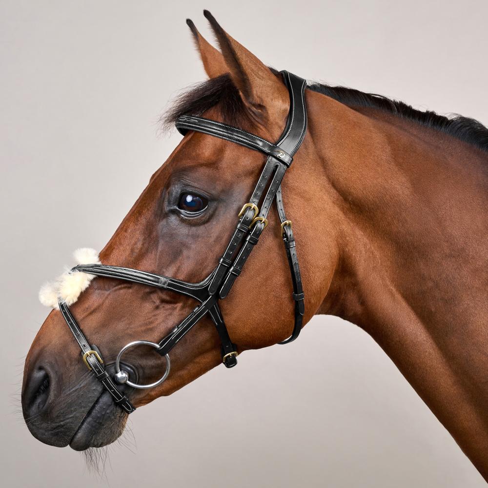 Figure 8 Noseband Bridle DY | Dy'on | Control — Image 8