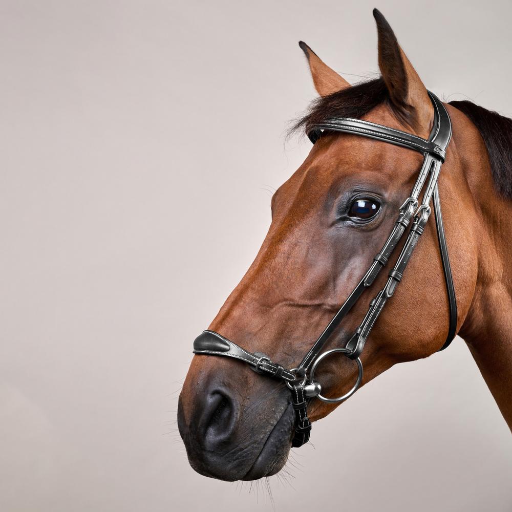 Adjustable Drop Noseband Bridle DY | Dy'on | Adjustable — Image 2
