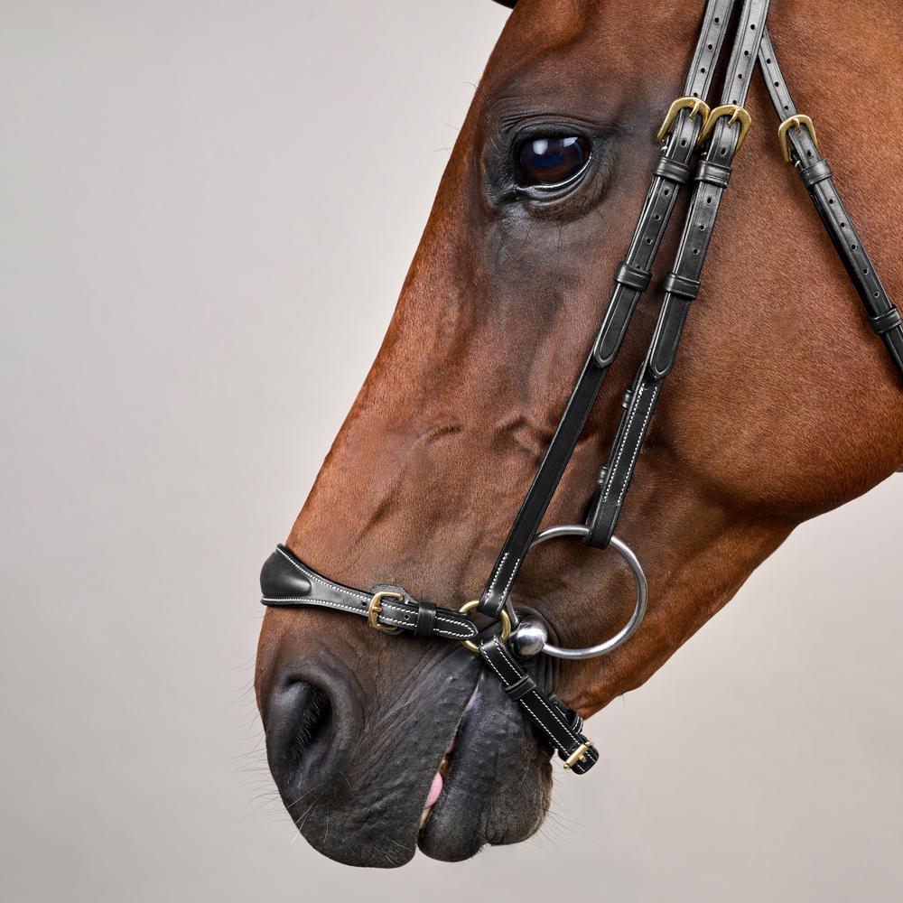Adjustable Drop Noseband Bridle DY | Dy'on | Adjustable — Image 3