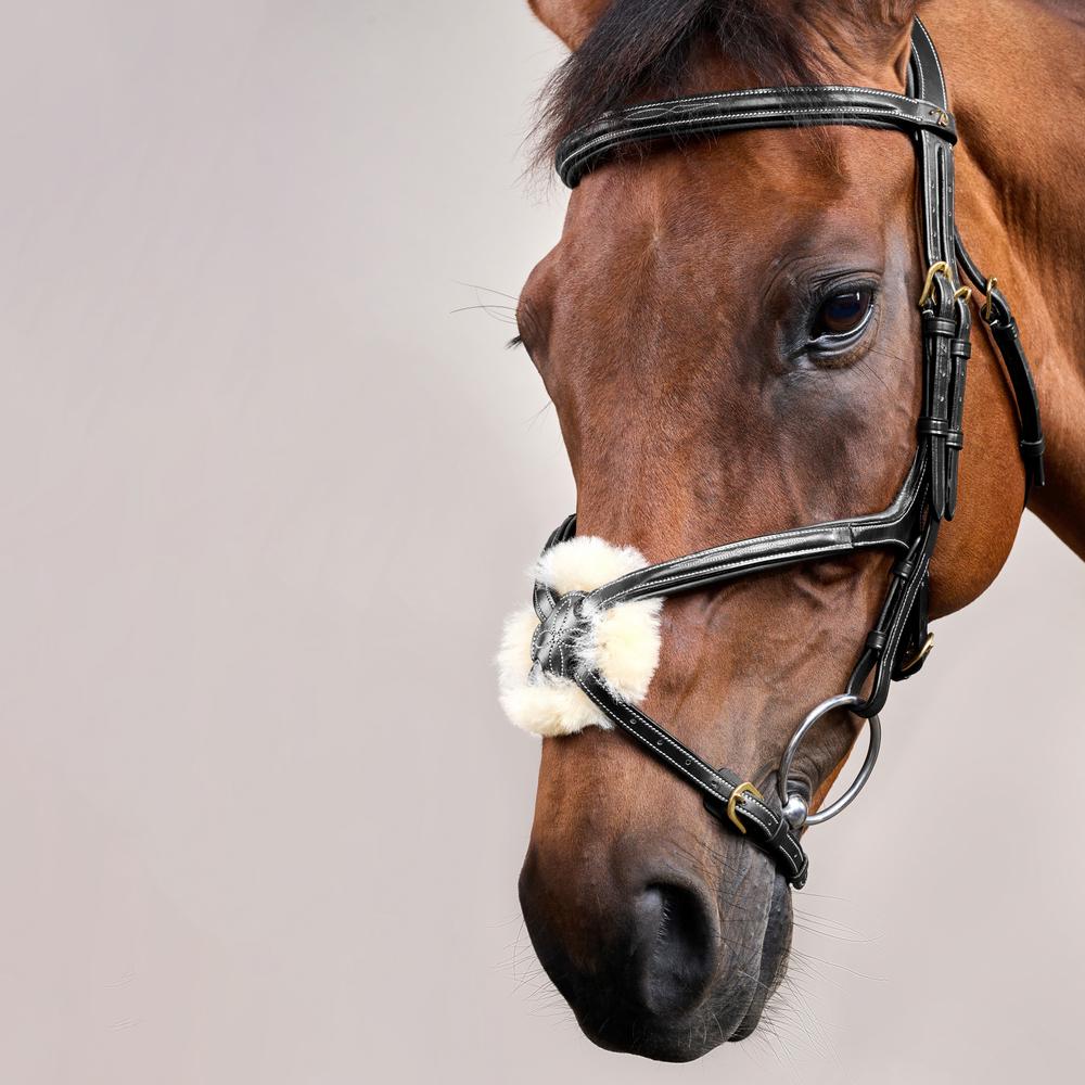 Figure 8 Noseband Bridle DY | Dy'on | Control — Image 10