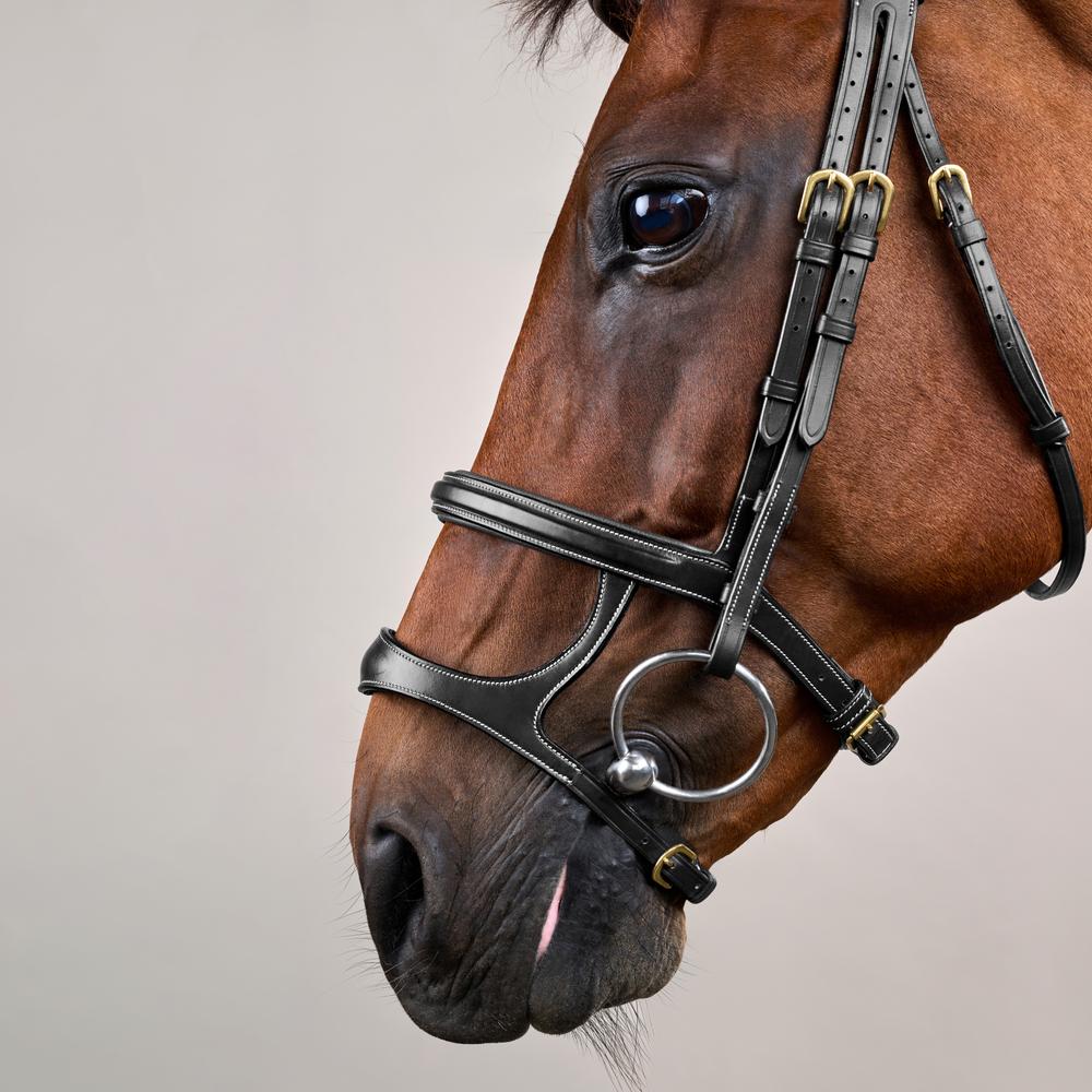Double Noseband Bridle DY | Dy'on | control — Image 3