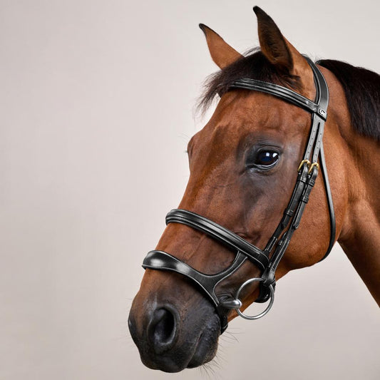Double Noseband Bridle DY | Dy'on | control — Image 2