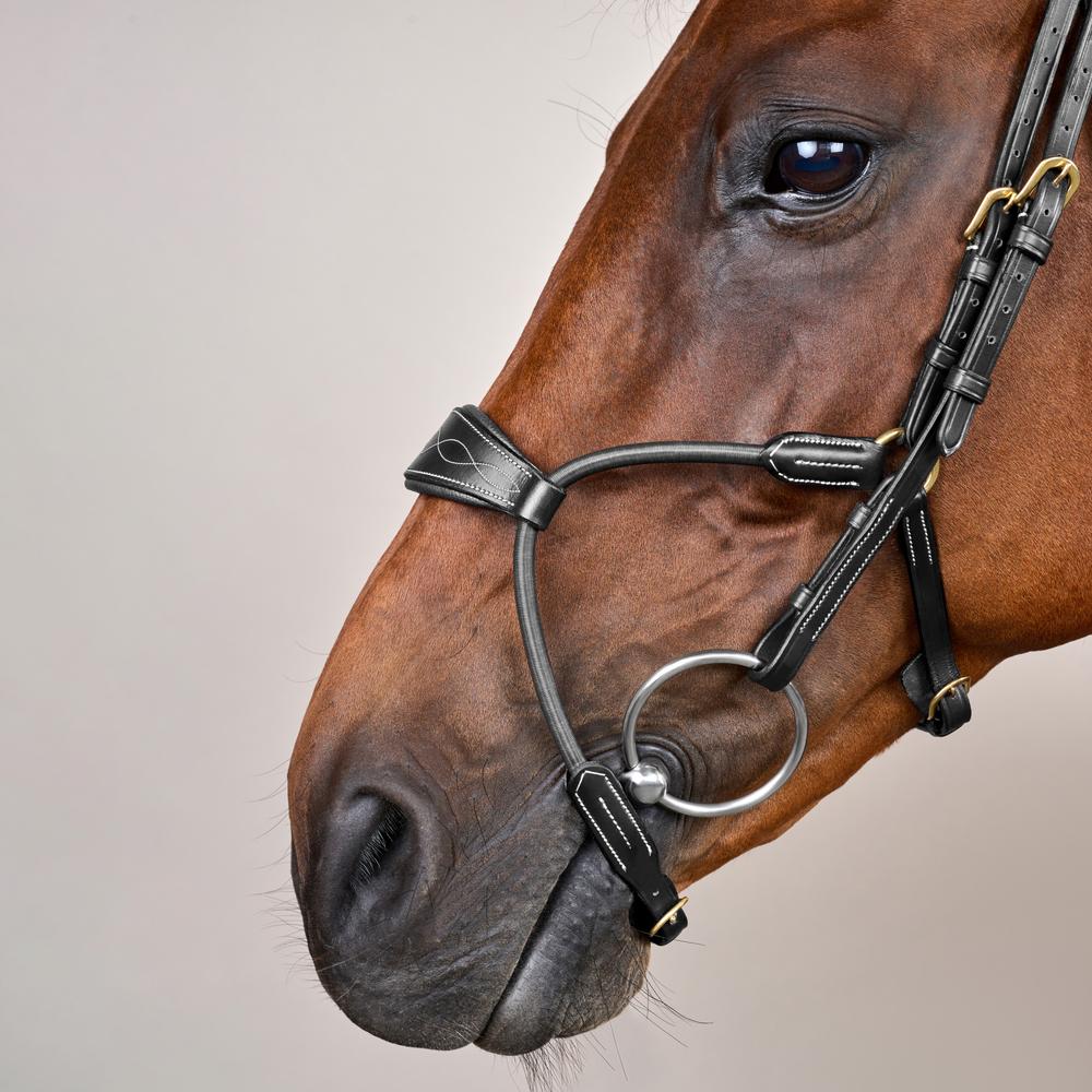 Elastic Hybrid Noseband Bridle DY |  | Durable — Image 4