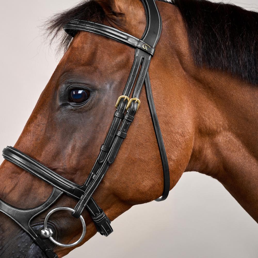Double Noseband Bridle DY | Dy'on | control — Image 4