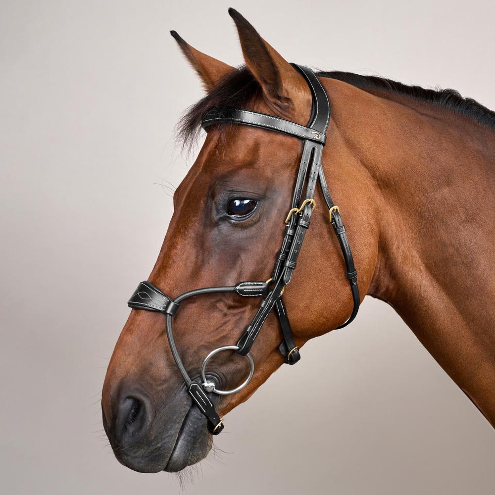 Elastic Hybrid Noseband Bridle DY |  | Durable — Image 2